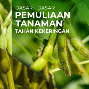 Buku Dasar -Dasar Pemuliaan Tanaman Tahan Kekeringan