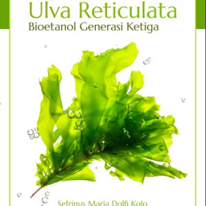 Buku Makroalga Ulva Reticulata: Bioetanol Generasi Ketiga