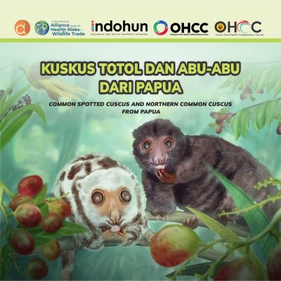 Buku Kuskus Totol dan Abu-Abu Dari Papua Common Spotted Cuscus and Northern Common Cuscus From Papua