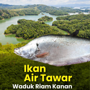 Buku Ikan Air Tawar Waduk Riam Kanan Kalimantan Selatan