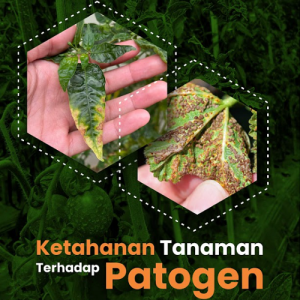 Buku Ketahanan Tanaman Terhadap Patogen