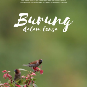 Buku Burung Dalam Lensa