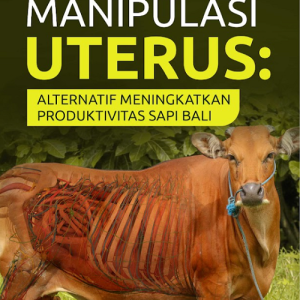 Buku Manipulasi Uterus: Alternatif Meningkatkan Produktivitas Sapi Bali