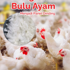 Buku Mengolah Bulu Ayam Menjadi Panel Dinding
