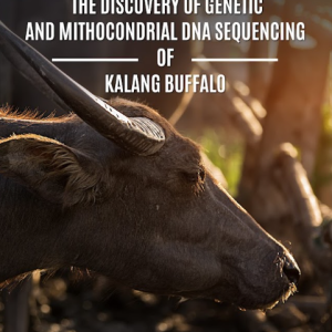Buku The Discovery of Genetic and Mitochondrial DNA Sequencing of Kalang Buffalo