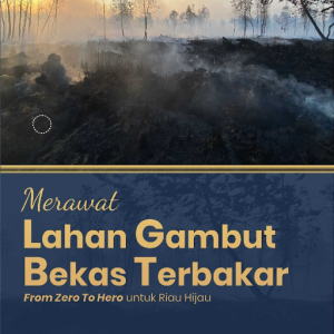Buku Merawat Lahan Gambut Bekas Terbakar From Zero To Hero Untuk Riau Hijau