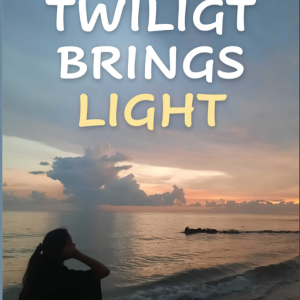 Buku Twilight Brings Light