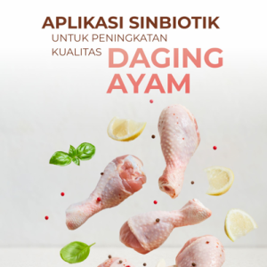 Buku Aplikasi Sinbiotik untuk Peningkatan Kualitas Daging Ayam