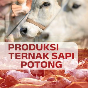 Buku Produksi Ternak Sapi Potong