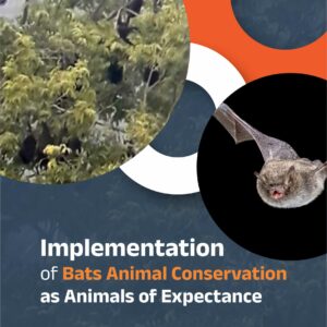 Buku Implementation of Bats Animal Conservation as Animals of Expectance