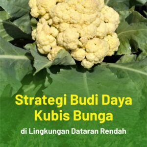 Buku Strategi Budi Daya Kubis Bunga di Lingkungan Dataran Rendah