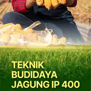 Buku Teknik Budidaya Jagung IP 400