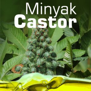 Buku Minyak Castor