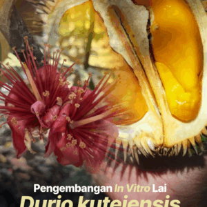 Buku Pengembangan In vitro Lai Durio kutejensis