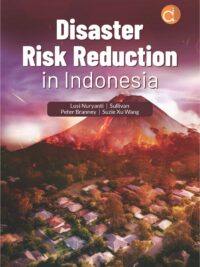 Disaster Risk Reduction in Indonesia Book