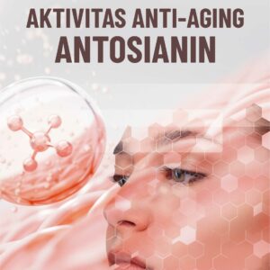 Buku Aktivitas Anti-Aging Antosianin