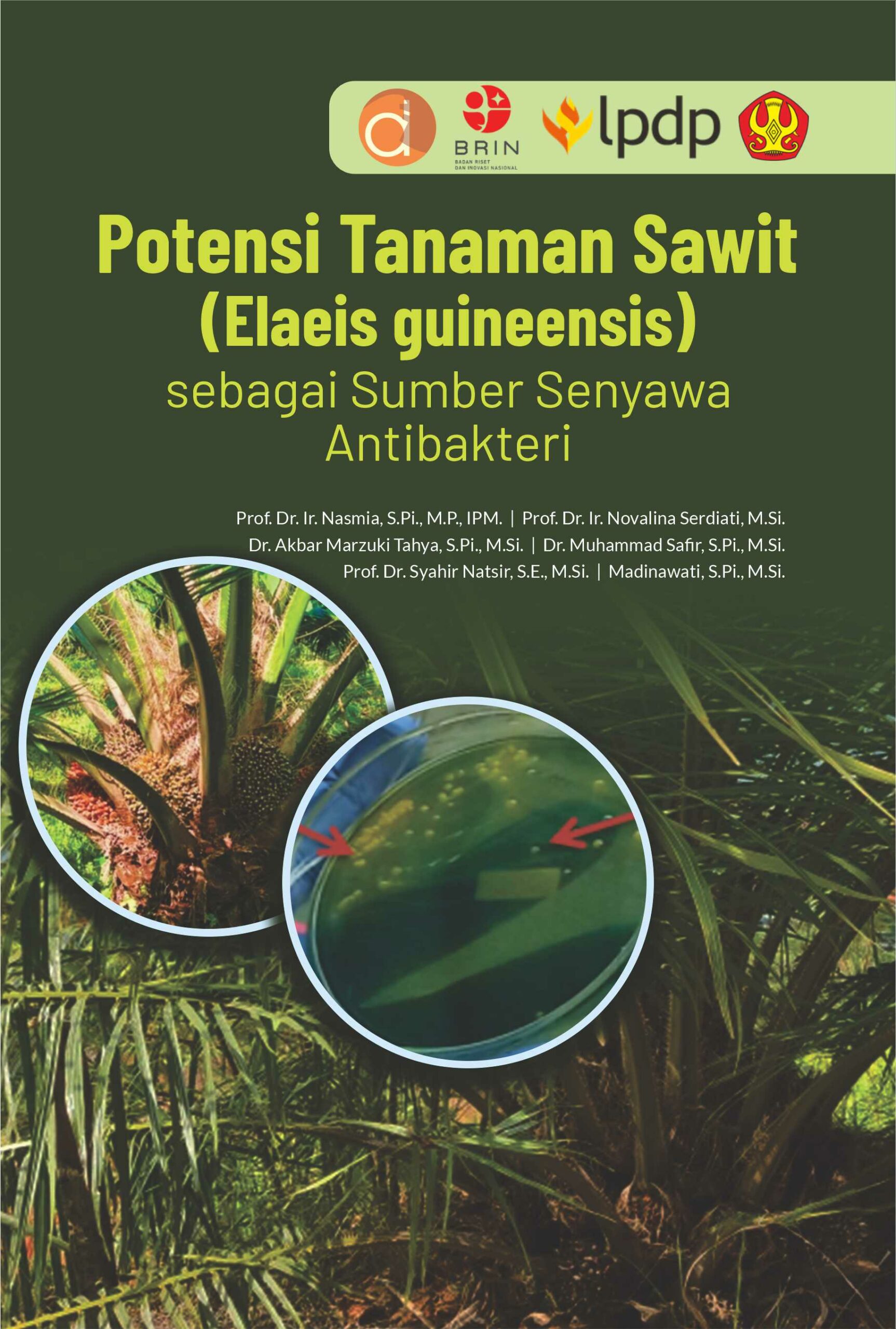 Buku Potensi Tanaman Sawit (Elaeis guineensis) sebagai Sumber Senyawa Antibakteri