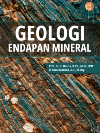 Buku Geologi Endapan Mineral