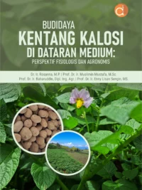 Buku Budidaya Kentang Kalosi di Dataran Medium: Perspektif Fisiologis dan Agronomis