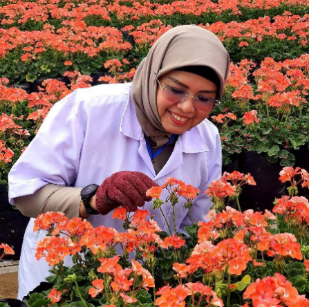 Lenny Hartati Harahap