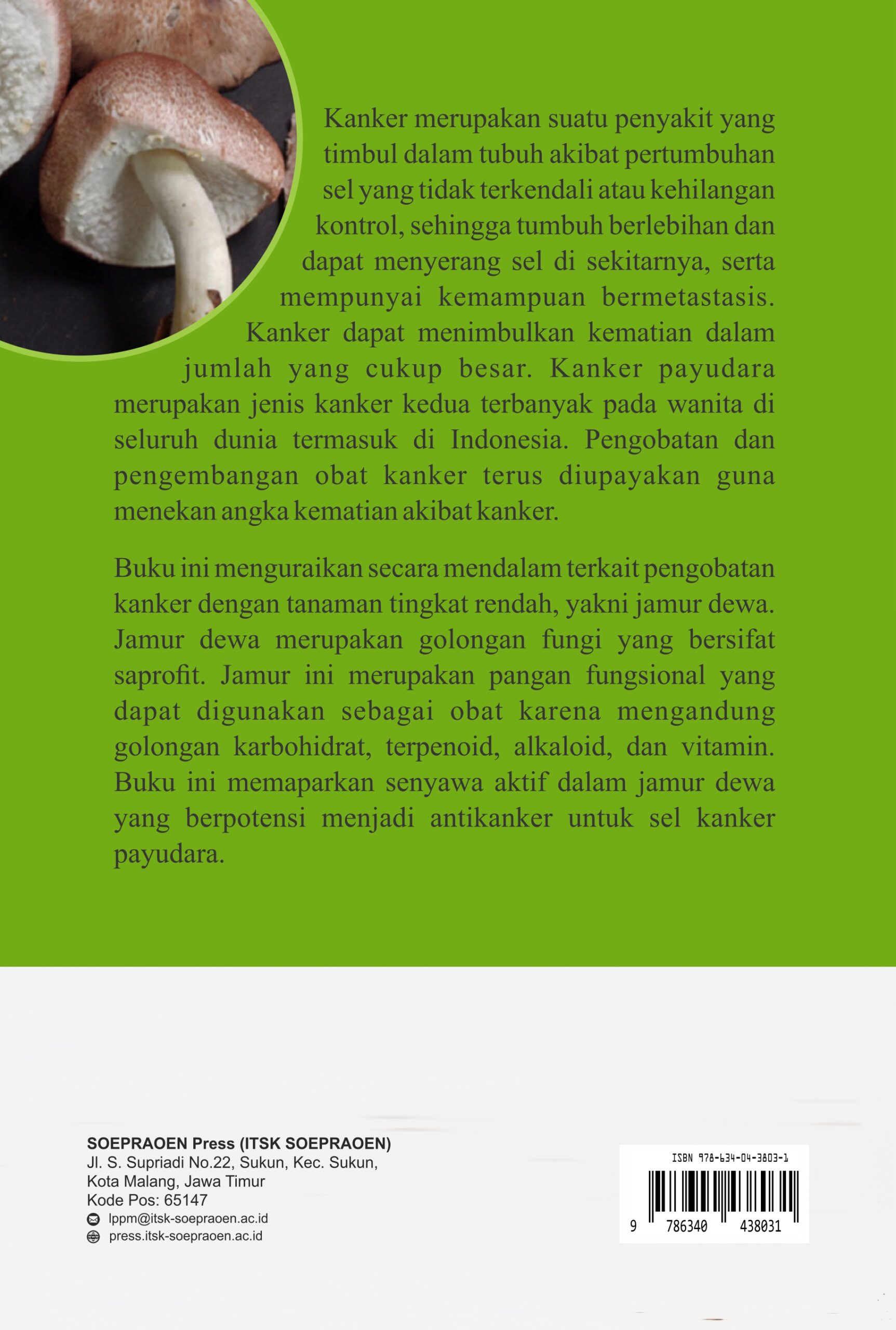 Buku Jamur Dewa: Harapan Baru untuk Melawan Kanker - Gambar 4