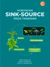 Buku Hubungan Sink-Source pada Tanaman