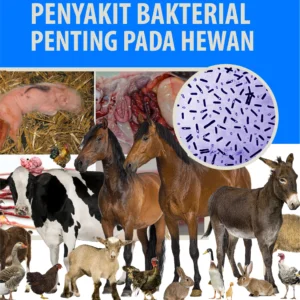 Buku Penyakit Bakterial Penting pada Hewan