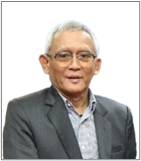 Sadu Wasistiono