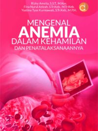 Buku Mengenal Anemia Dalam Kehamilan Dan Penatalaksanaannya